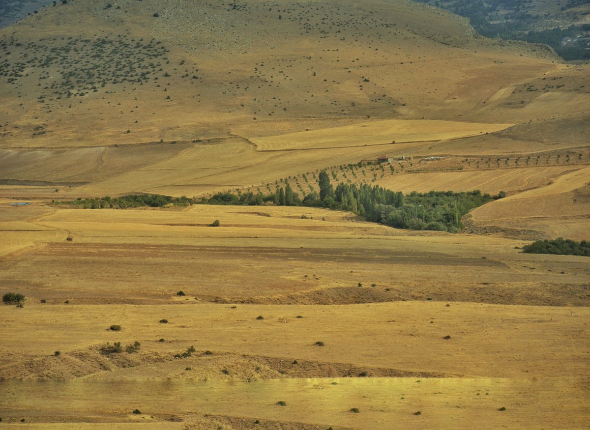 TOPRAKTAN GELEN DÜŞÜNME