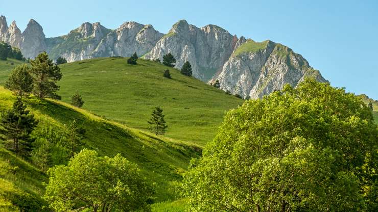 TÜRKÜDEN FELSEFEYE